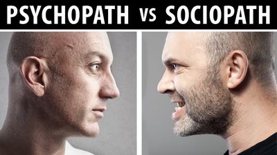 Psychopathic Versus Sociopathic Personality