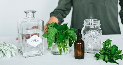 The Process of Making Tinctures